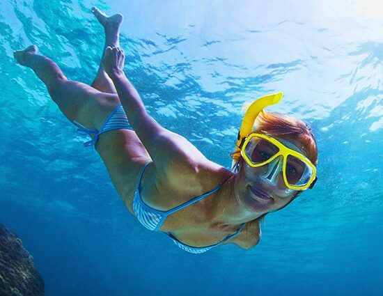 Come Snorkel In Cabo San Lucas