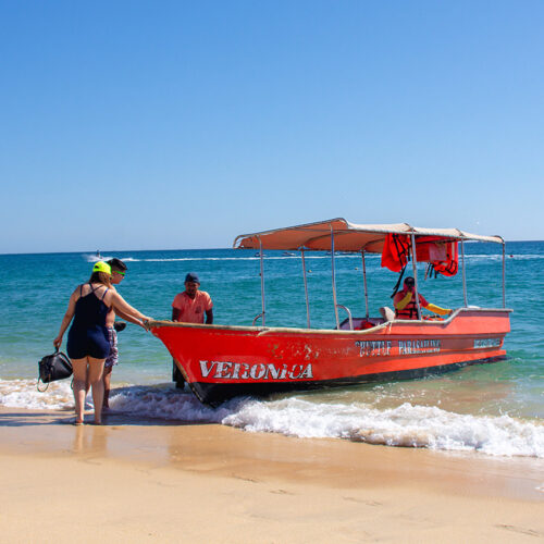 Aries Water Sports in Cabo San Lucas